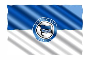 柏林赫塔击败实力强劲对手，取得重要胜利  第1张